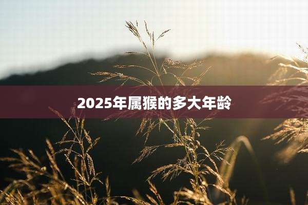 2025年属猴的多大年龄