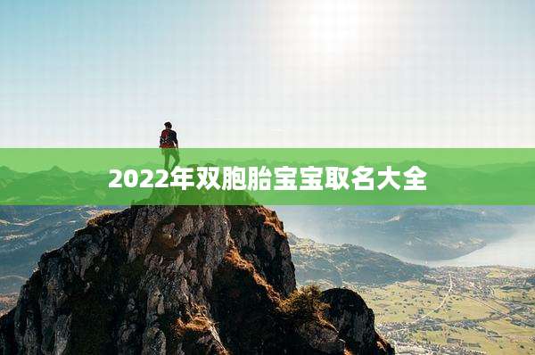 2022年双胞胎宝宝取名大全