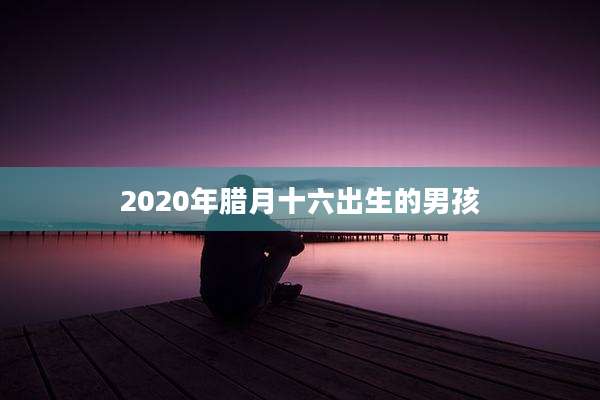 2020年腊月十六出生的男孩