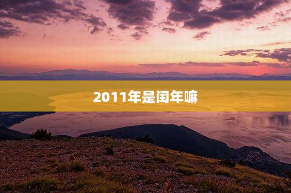 2011年是闰年嘛