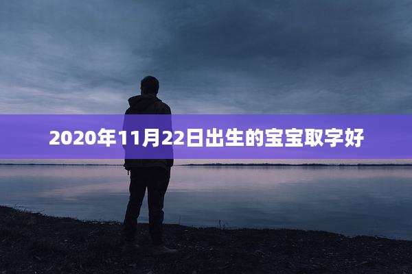 2020年11月22日出生的宝宝取字好