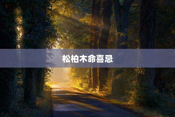 松柏木命喜忌