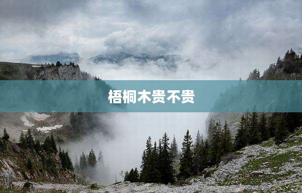 梧桐木贵不贵