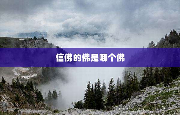 信佛的佛是哪个佛