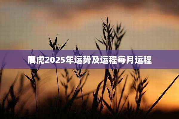 属虎2025年运势及运程每月运程