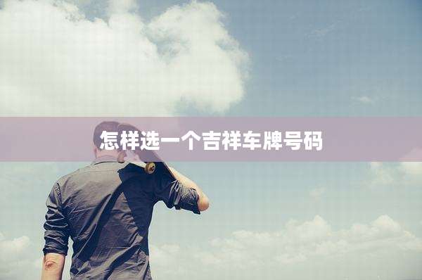 怎样选一个吉祥车牌号码