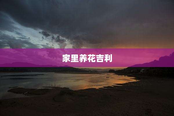 家里养花吉利