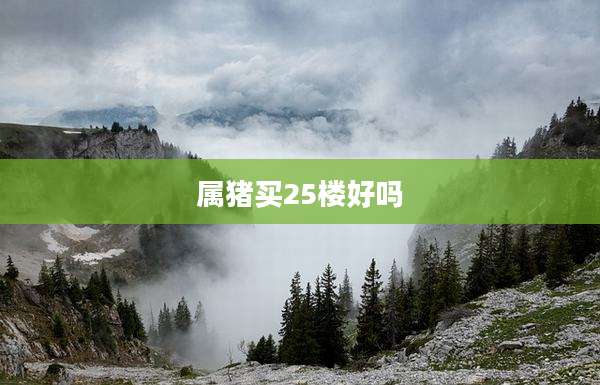 属猪买25楼好吗