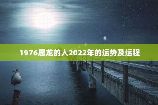 1976属龙的人2022年的运势及运程