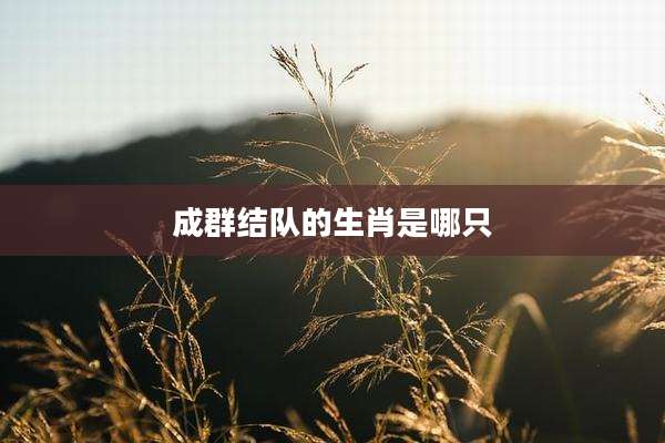 成群结队的生肖是哪只