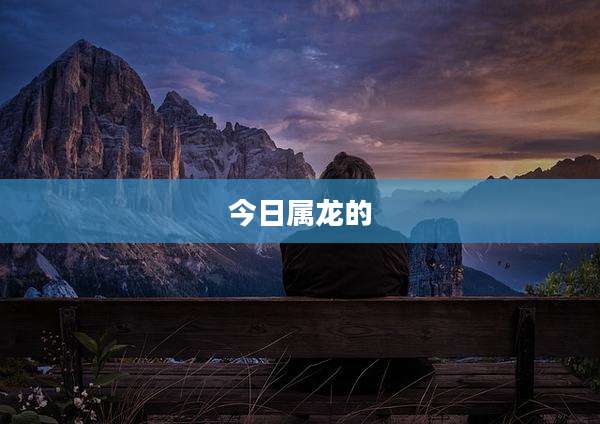 今日属龙的