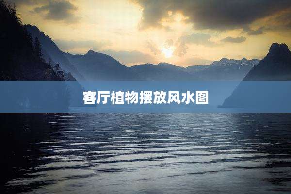 客厅植物摆放风水图