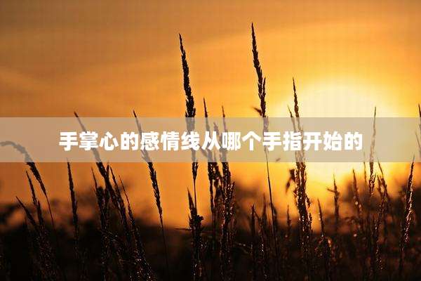 手掌心的感情线从哪个手指开始的