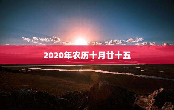 2020年农历十月廿十五