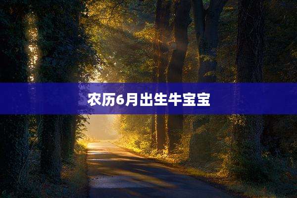 农历6月出生牛宝宝