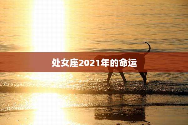 处女座2021年的命运