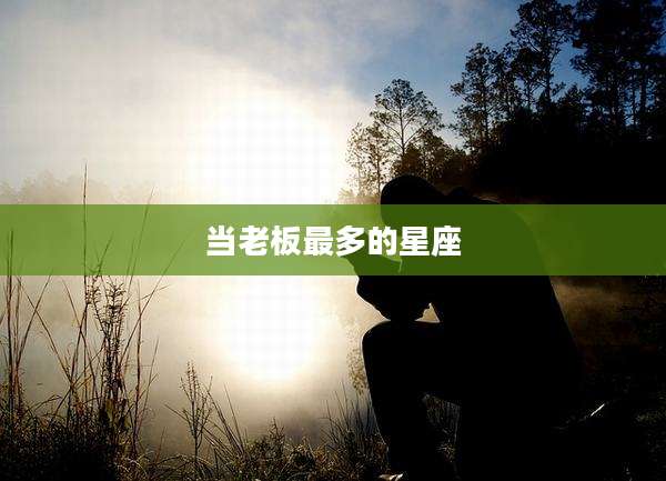 当老板最多的星座