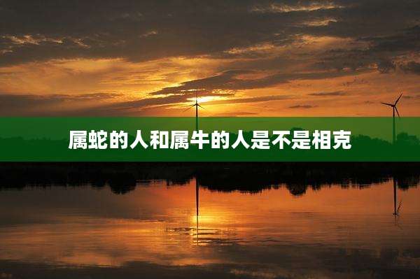 属蛇的人和属牛的人是不是相克