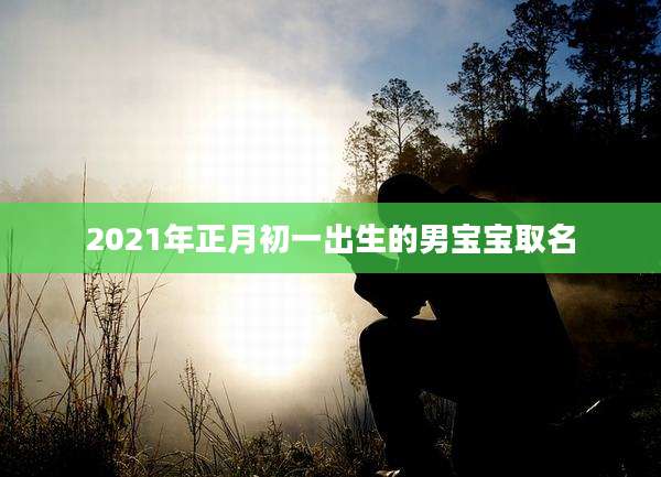 2021年正月初一出生的男宝宝取名