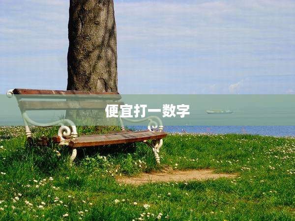 便宜打一数字