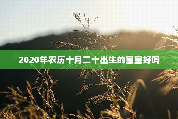 2020年农历十月二十出生的宝宝好吗