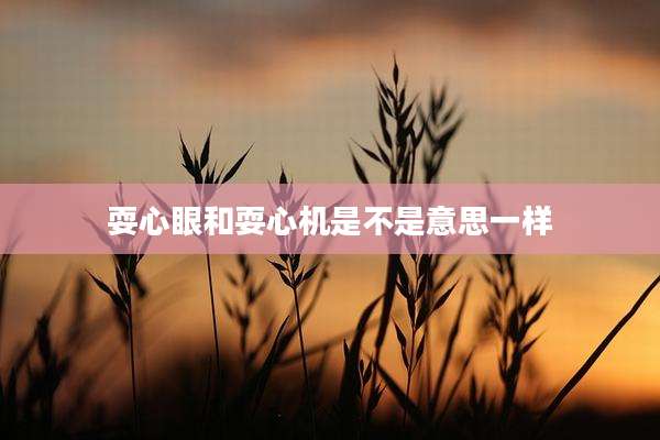 耍心眼和耍心机是不是意思一样