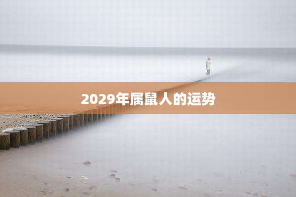 2029年属鼠人的运势