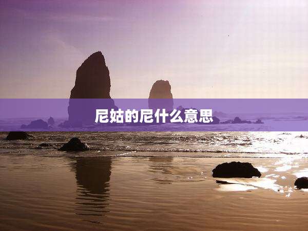 尼姑的尼什么意思