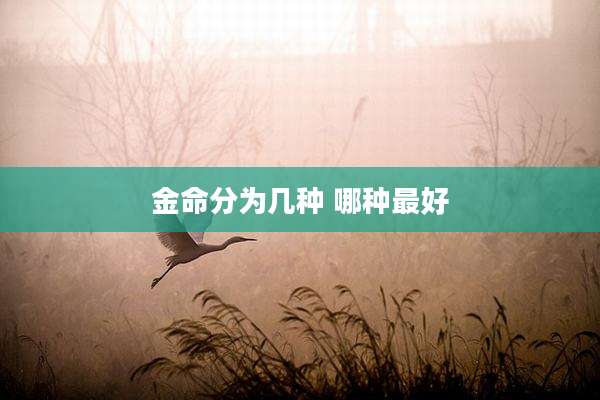 金命分为几种 哪种最好