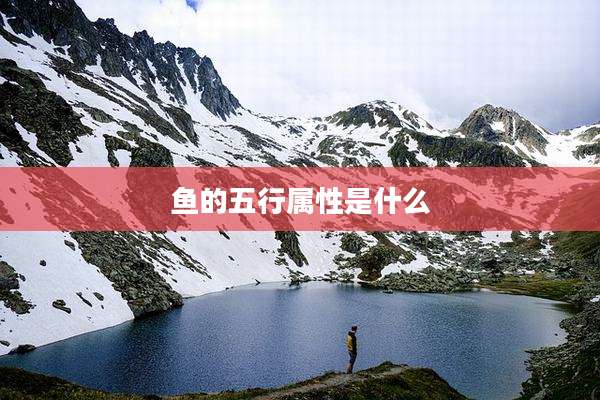 鱼的五行属性是什么