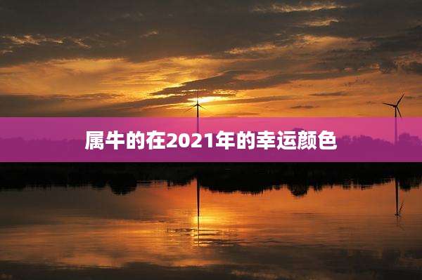 属牛的在2021年的幸运颜色