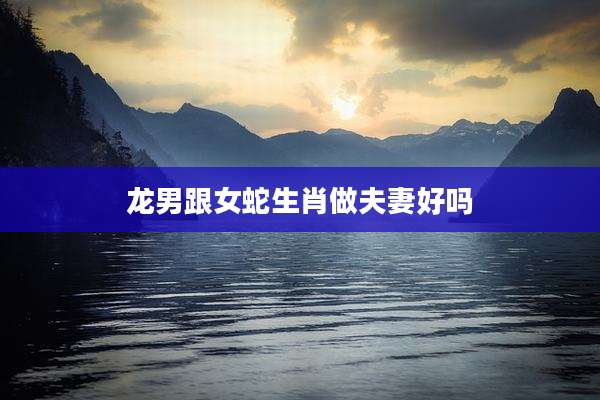 龙男跟女蛇生肖做夫妻好吗