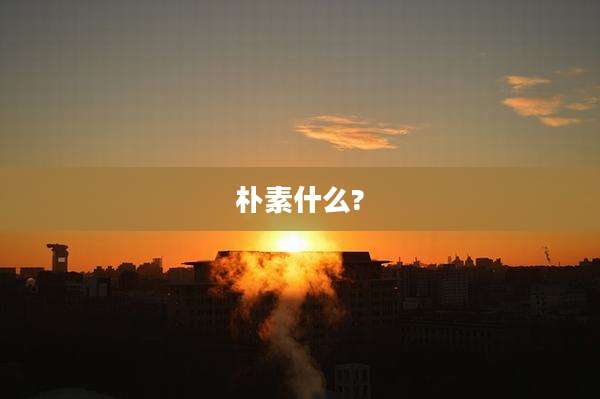 朴素什么?