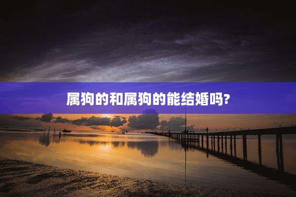 属狗的和属狗的能结婚吗?