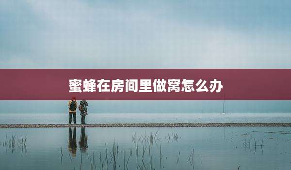 蜜蜂在房间里做窝怎么办