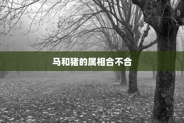 马和猪的属相合不合