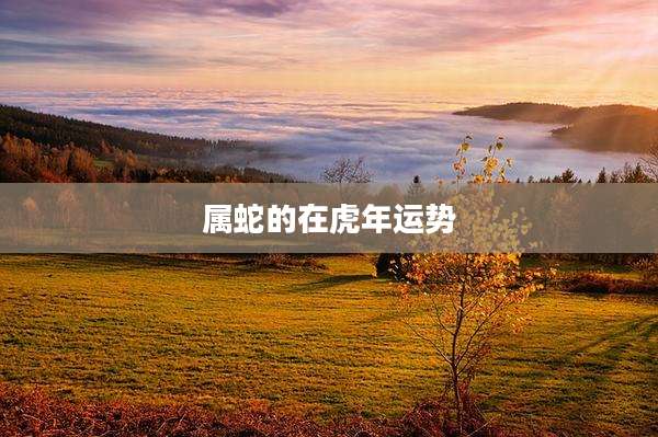 属蛇的在虎年运势