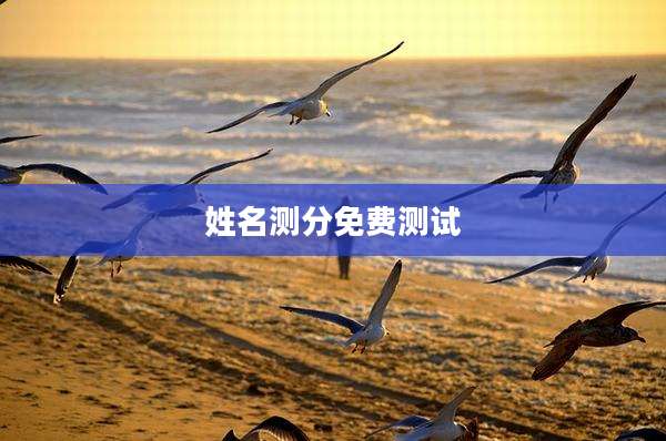 姓名测分免费测试