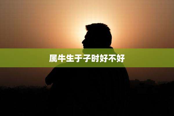 属牛生于子时好不好