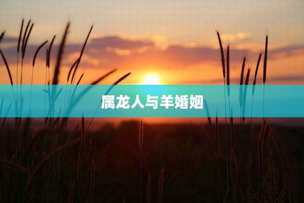 属龙人与羊婚姻