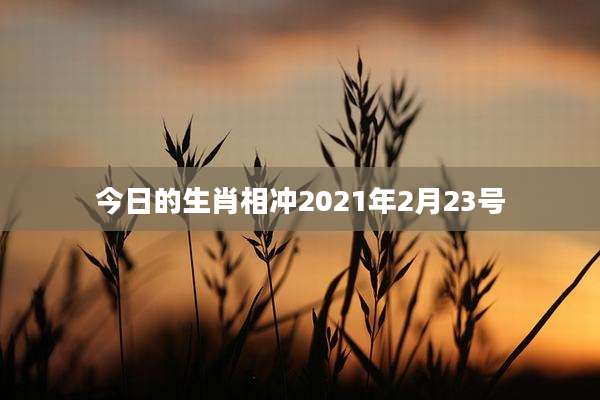 今日的生肖相冲2021年2月23号