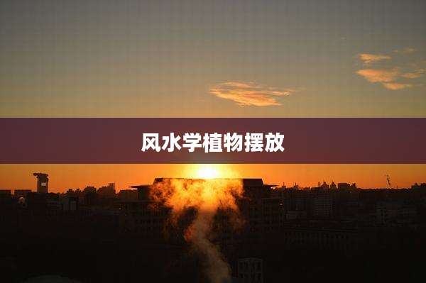 风水学植物摆放