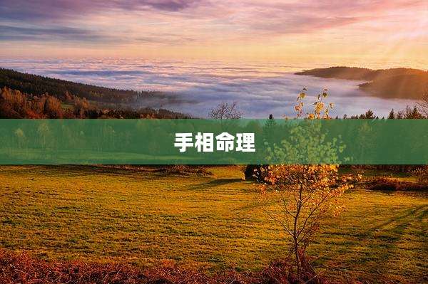 手相命理