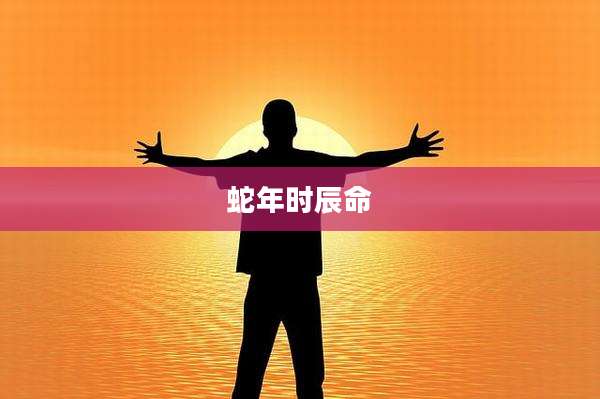 蛇年时辰命