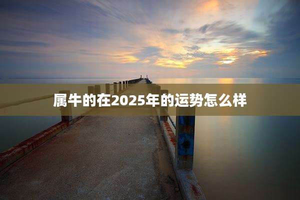 属牛的在2025年的运势怎么样