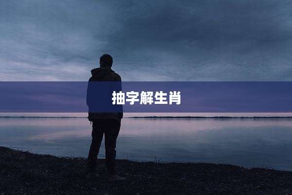 抽字解生肖