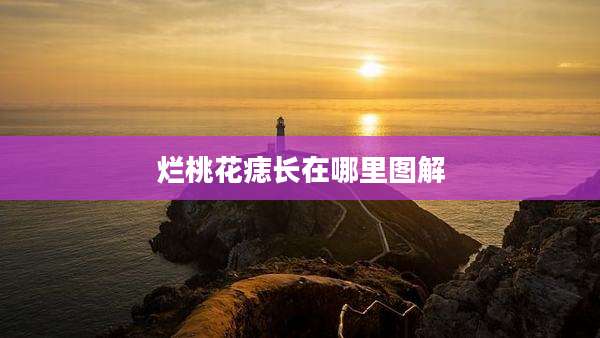 烂桃花痣长在哪里图解