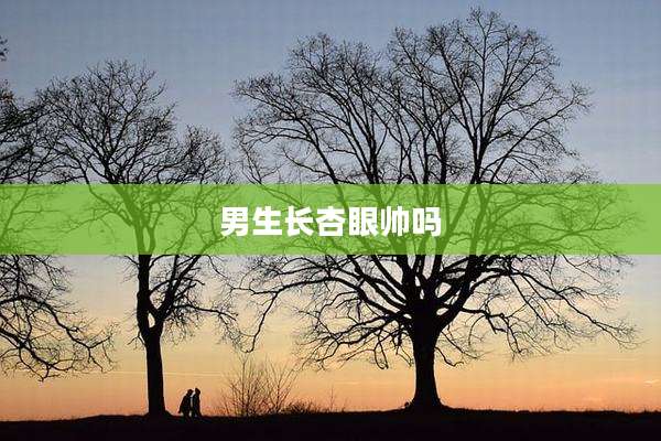 男生长杏眼帅吗
