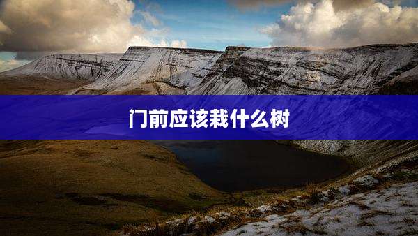 门前应该栽什么树