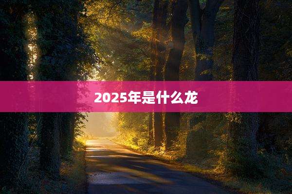 2025年是什么龙